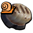 Snail Roast